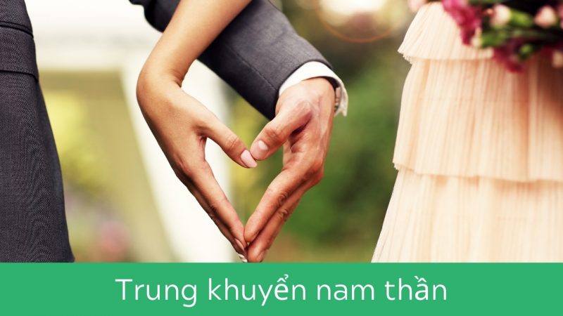 Truyện ngôn tình hoàn Trung khuyển nam thần